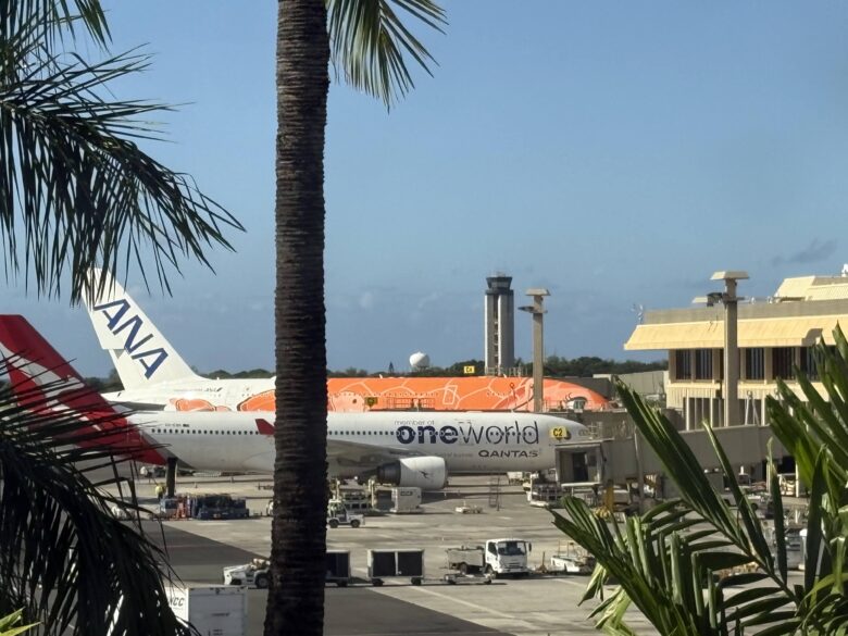 フライングホヌ