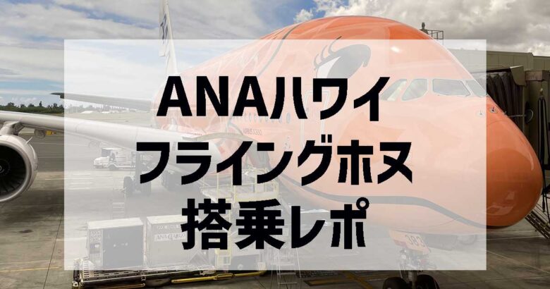 フライングホヌ